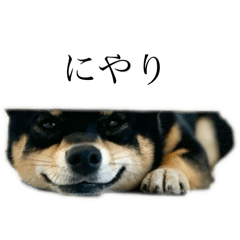 mie_20251230100609