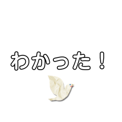 K_20251230103314