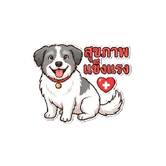 white_20251230112238