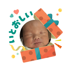 Iwashi_20251230160052