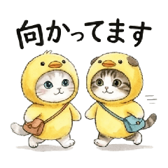 sky2000_20251230160122