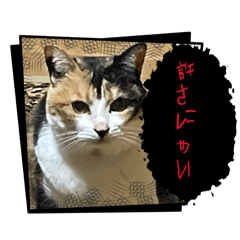 Kohaku_20251230155915