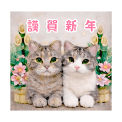 cocomaruru_20251230155715