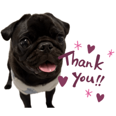 Sayaka_20251230160043