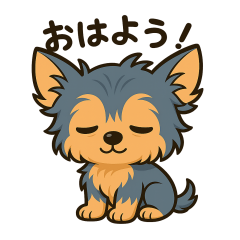 Lots of Yorkshire Terriers