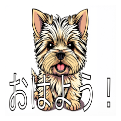 Lots of Cairn Terriers