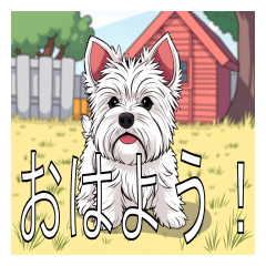 Lots of West Highland White Terriers