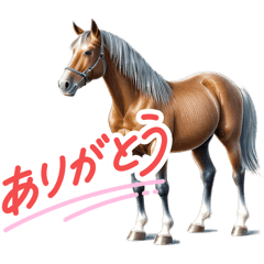 Ciel2580_20251230130211