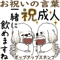 飛び出すシーズー犬 2026 「お祝いの言葉」