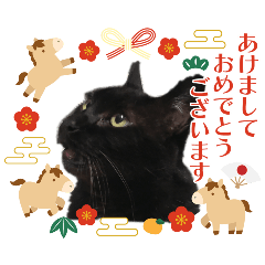 k_20251230160520