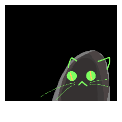 Cat in darkness
