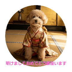 DAIYA_20251230123916