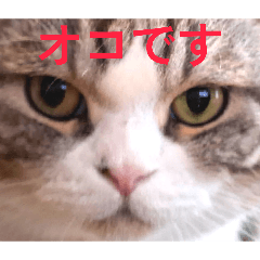 mikako_20251230123718