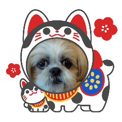 atomurochikuwa_20251230124306