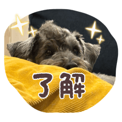 kaikawa_20251230123648