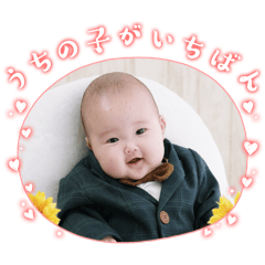 cyami_20251230124928