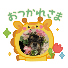 oyumikun_20251230125337