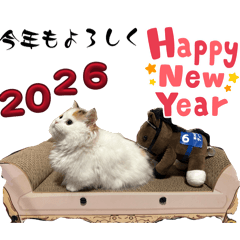 Motsu_20251230125415