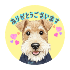 cocomaruru_20251230130005