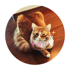 zuzuzunda_20251230132150