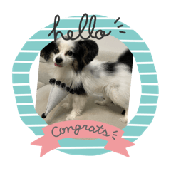 mahhan_20251230124928