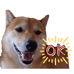 Kashi_20251230132353