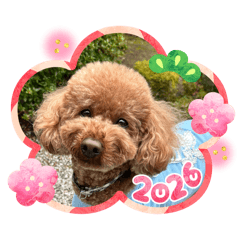 yuka akita_20251230133118