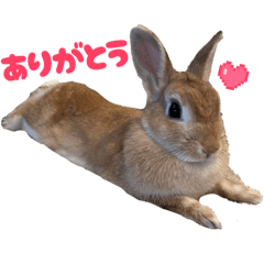 pachan_20251230134558