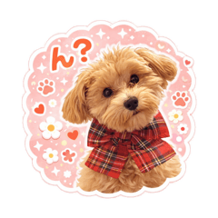 marokuru_20251230140828