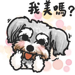 妮莫&尼巴的日常生活