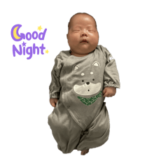 Dainamaito_20251230184808