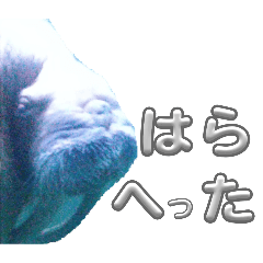 ender_20251229135751