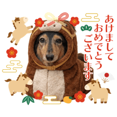 She love apple