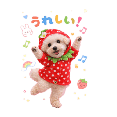 marokuru_20251230140208