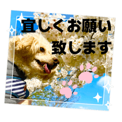 mizuki_20251230151857