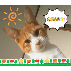 saori_20251230170225