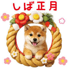 しば正月❤