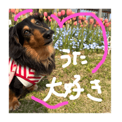 utachan_20251230183156