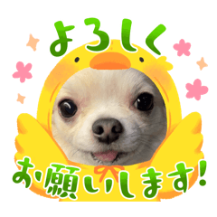 Missa_20251230153051