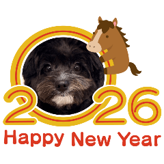 rabbimon_20251230171212