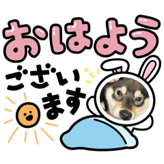 smile_20251230192104