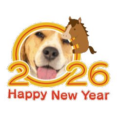 Almondjiko_20251230174918