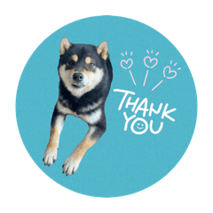 SHIORI_20251230192645