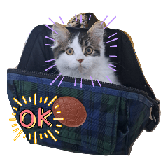 rihito_20251230202352