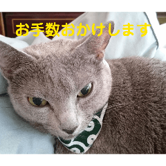 kazoe_20251230171446