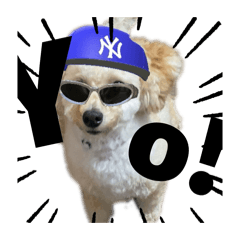 miyatake_20251230202614