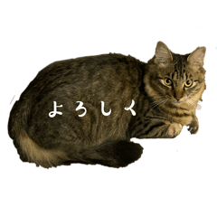 yumiyumi_20251230202526