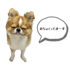 BASHITAKA_20251230202200