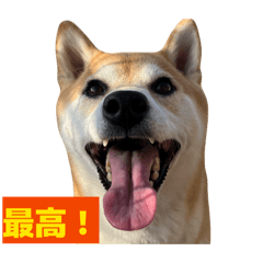 KIGANUU_20251230202705