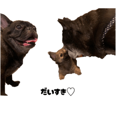 mikochiru_20251230203348